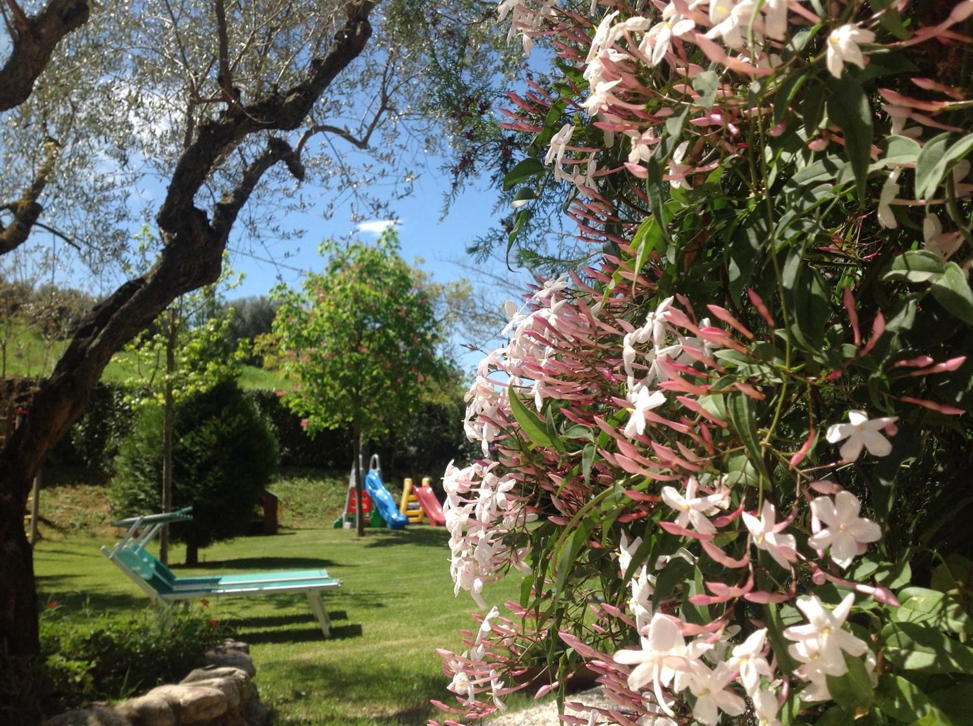 Agriturismo Terralieta روزيتو ديلي أبروتسي المظهر الخارجي الصورة